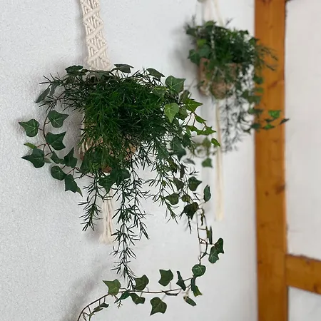 Haus Zirbennest Nyaraló